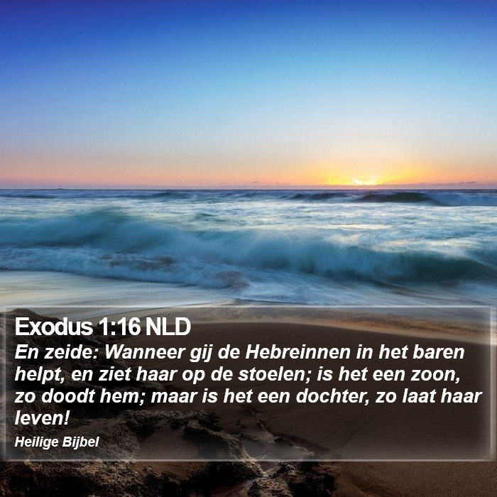 Exodus 1:16 NLD Bible Study