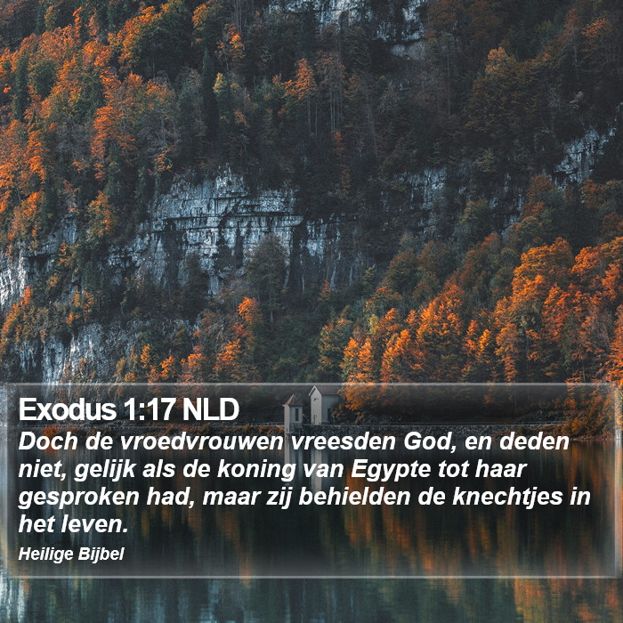 Exodus 1:17 NLD Bible Study