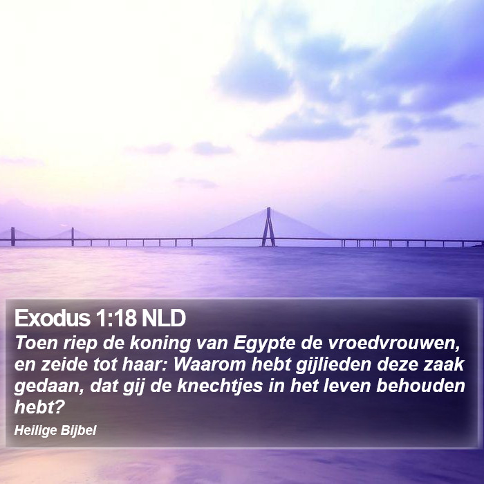 Exodus 1:18 NLD Bible Study