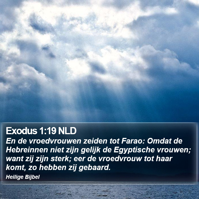 Exodus 1:19 NLD Bible Study