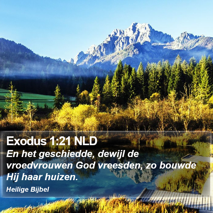 Exodus 1:21 NLD Bible Study