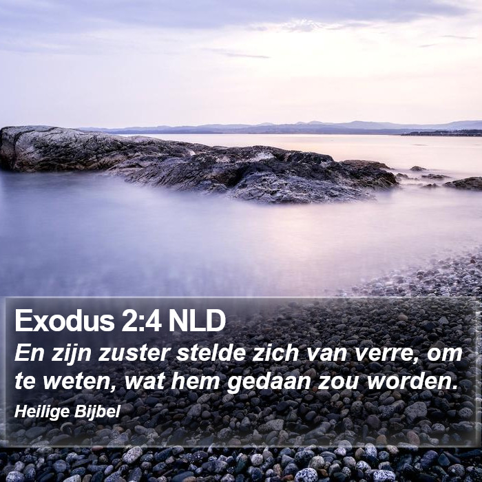 Exodus 2:4 NLD Bible Study