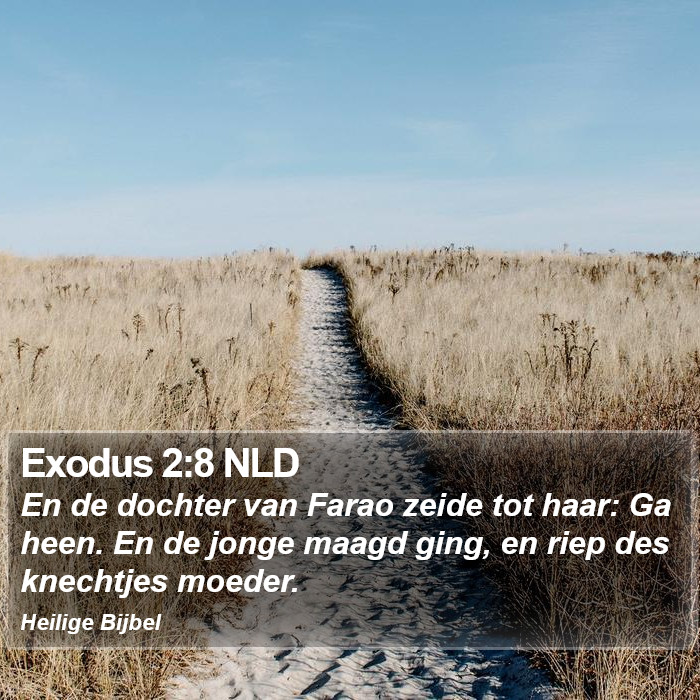 Exodus 2:8 NLD Bible Study