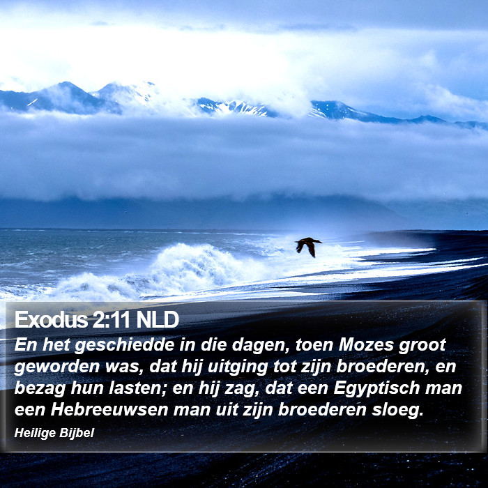Exodus 2:11 NLD Bible Study