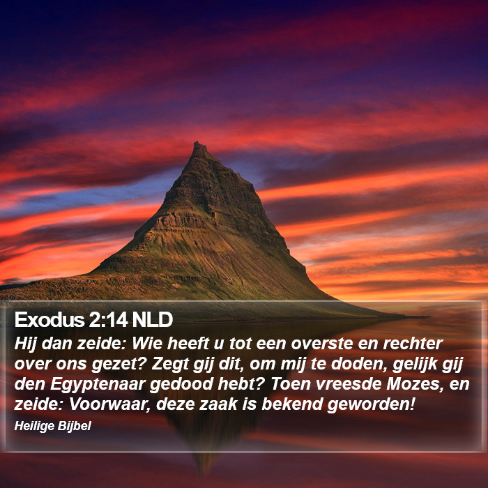 Exodus 2:14 NLD Bible Study