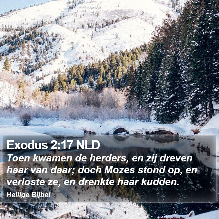 Exodus 2:17 NLD Bible Study
