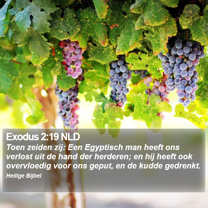 Exodus 2:19 NLD Bible Study