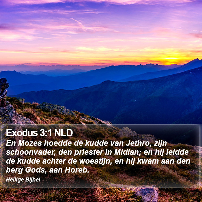 Exodus 3:1 NLD Bible Study