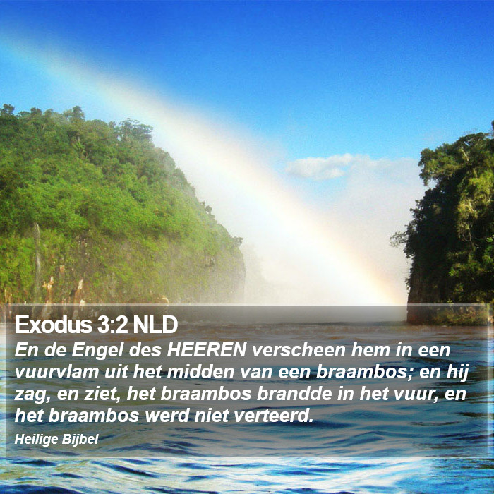 Exodus 3:2 NLD Bible Study