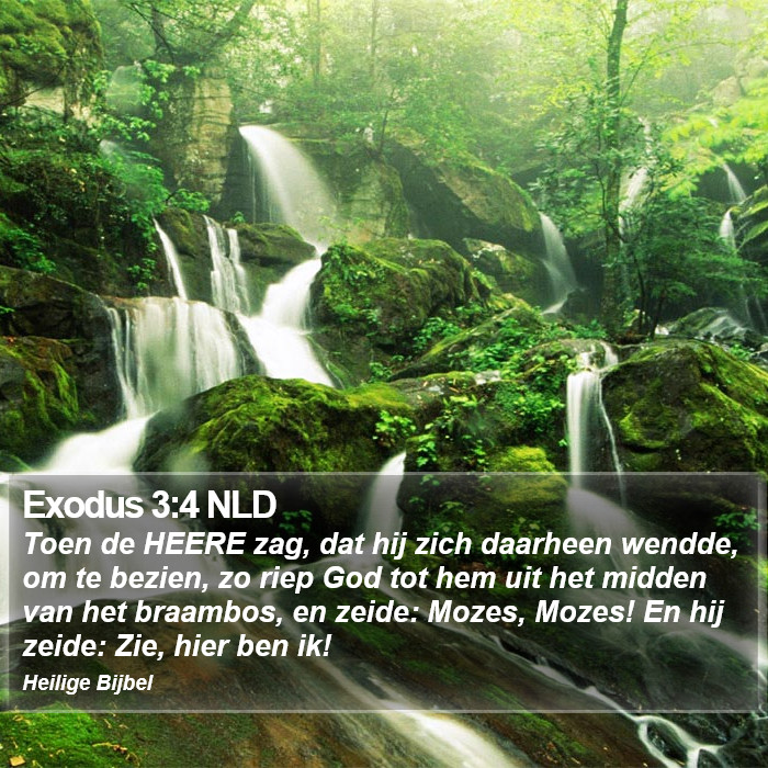 Exodus 3:4 NLD Bible Study