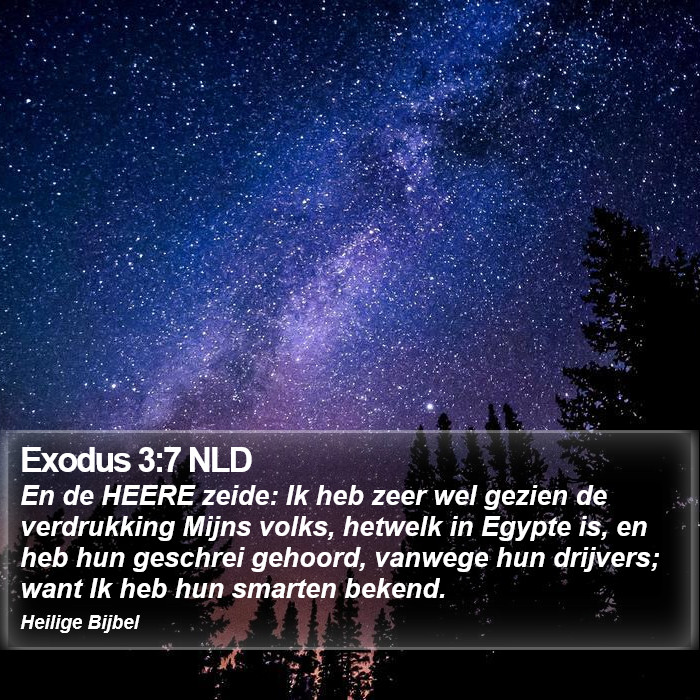 Exodus 3:7 NLD Bible Study