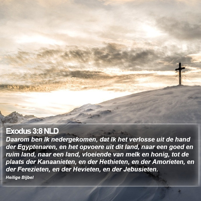 Exodus 3:8 NLD Bible Study