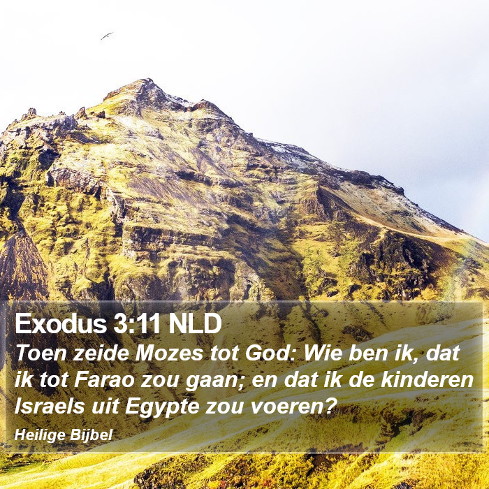 Exodus 3:11 NLD Bible Study