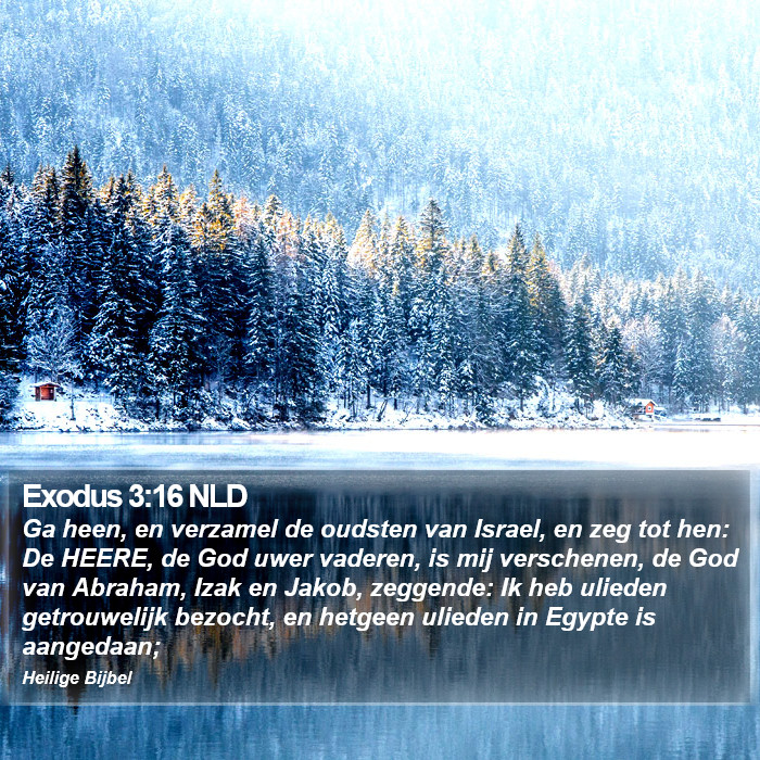 Exodus 3:16 NLD Bible Study