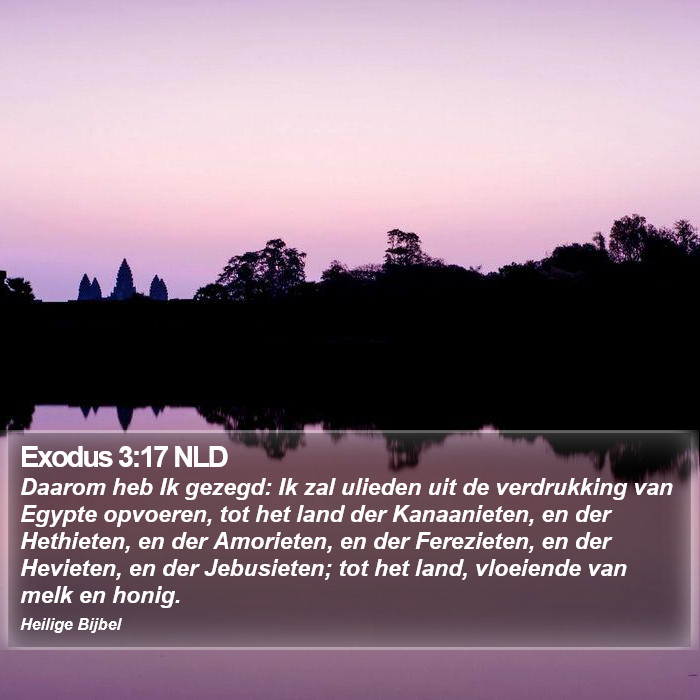 Exodus 3:17 NLD Bible Study