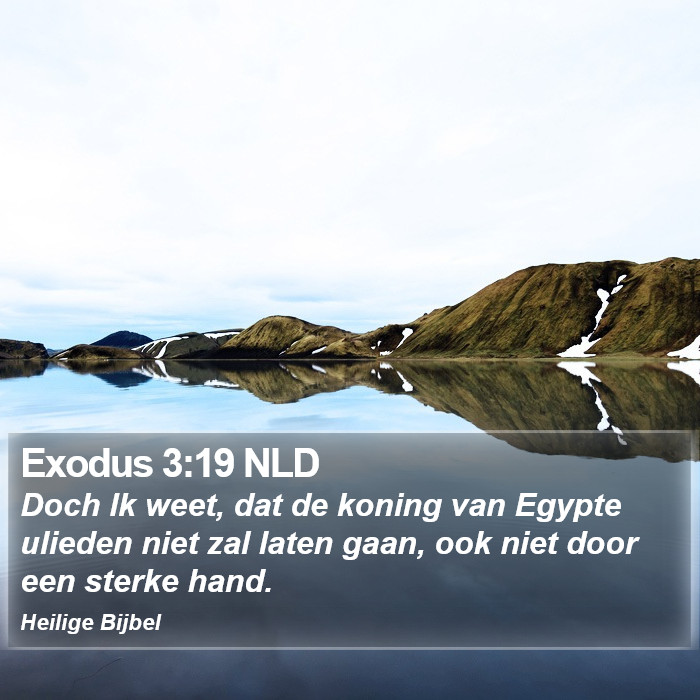 Exodus 3:19 NLD Bible Study