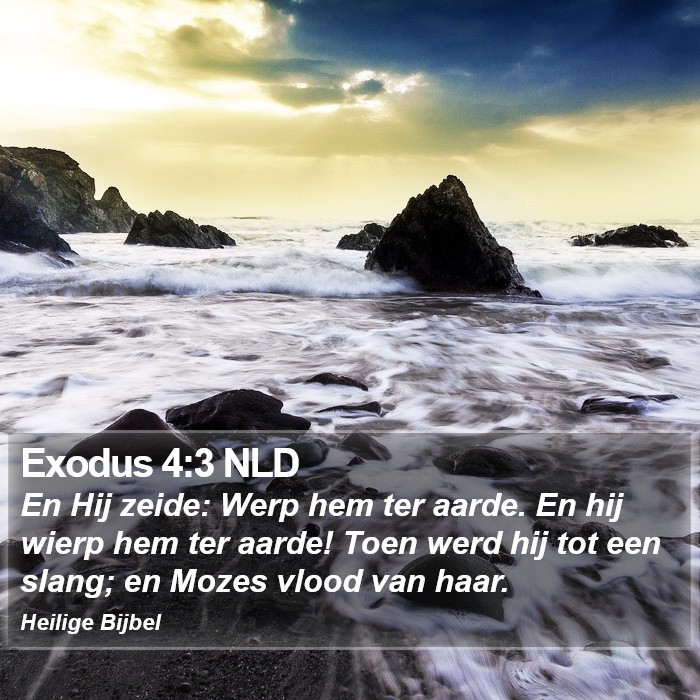 Exodus 4:3 NLD Bible Study