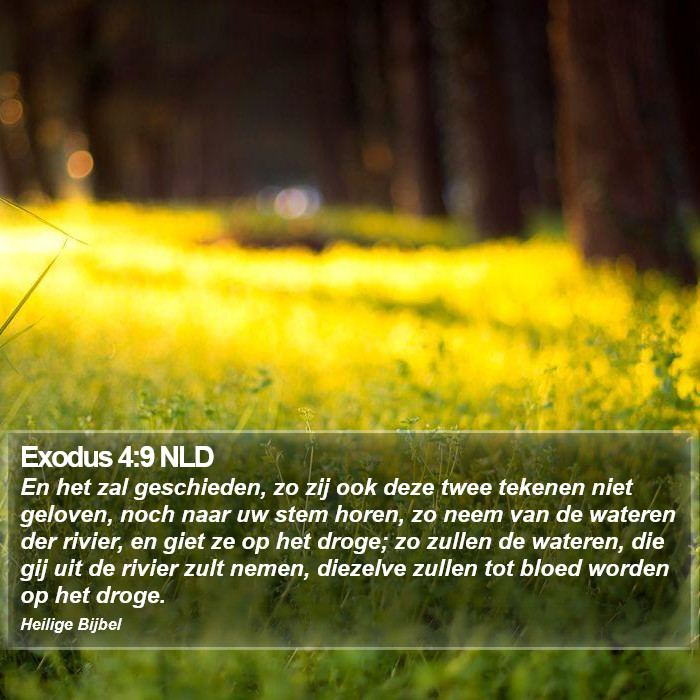 Exodus 4:9 NLD Bible Study