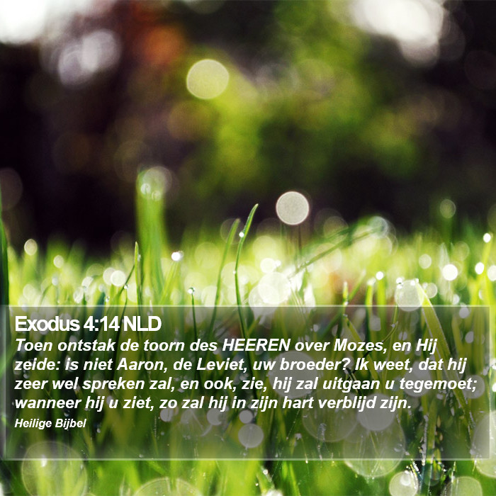 Exodus 4:14 NLD Bible Study