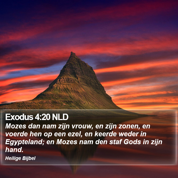 Exodus 4:20 NLD Bible Study