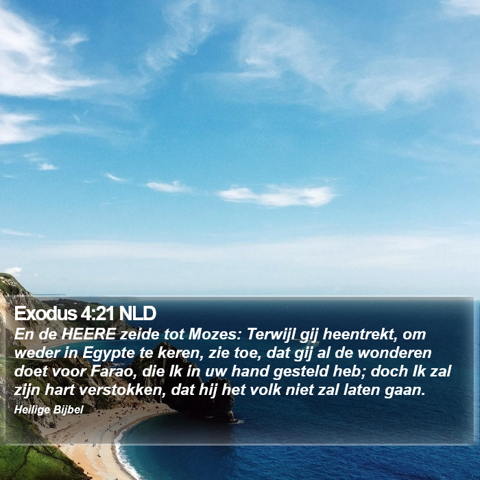 Exodus 4:21 NLD Bible Study