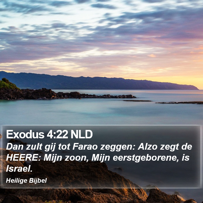 Exodus 4:22 NLD Bible Study