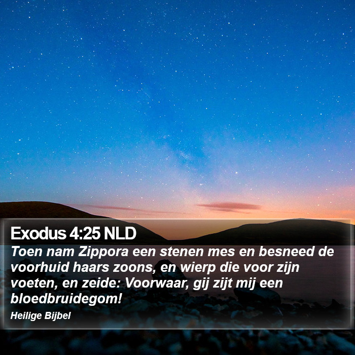 Exodus 4:25 NLD Bible Study