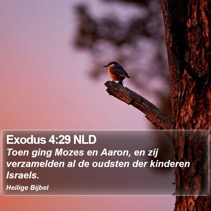 Exodus 4:29 NLD Bible Study