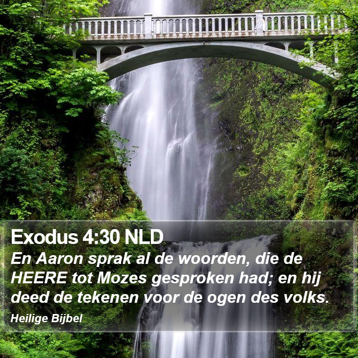 Exodus 4:30 NLD Bible Study