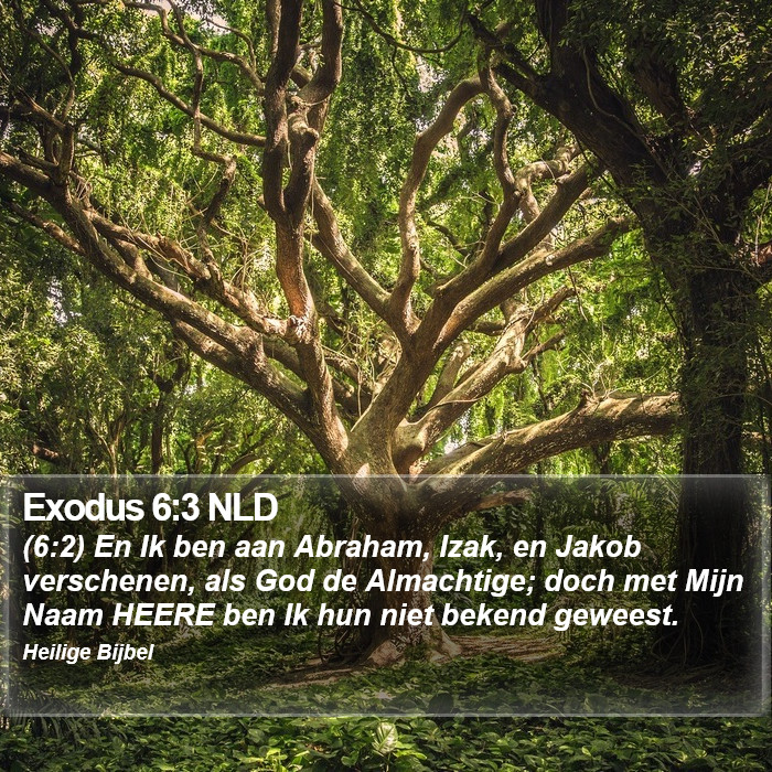 Exodus 6:3 NLD Bible Study