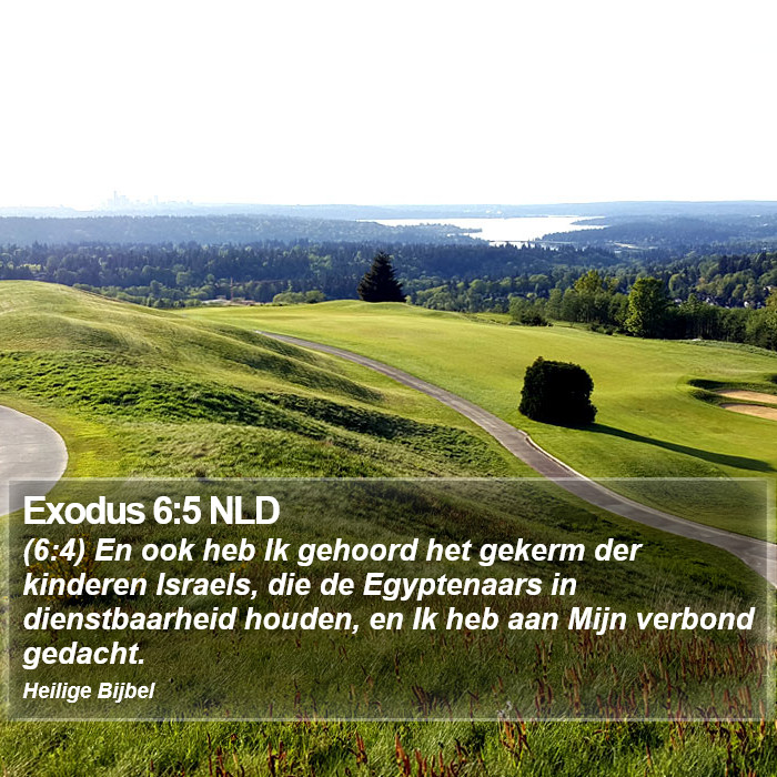 Exodus 6:5 NLD Bible Study