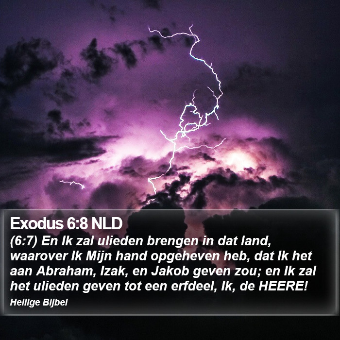 Exodus 6:8 NLD Bible Study