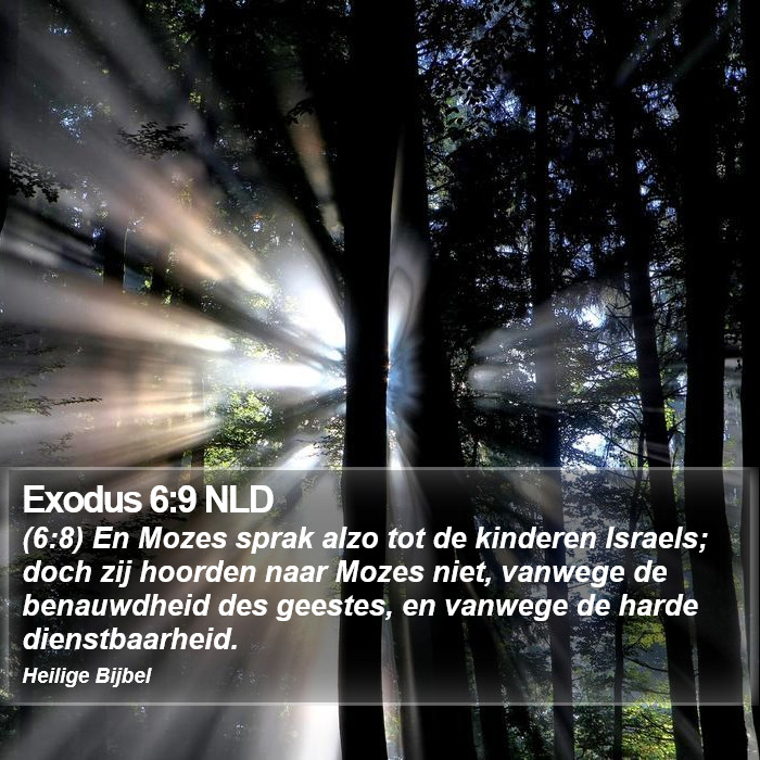Exodus 6:9 NLD Bible Study