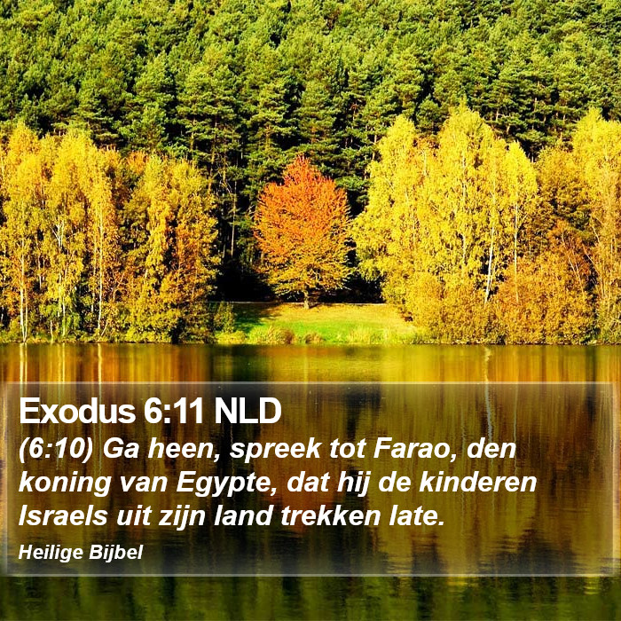 Exodus 6:11 NLD Bible Study