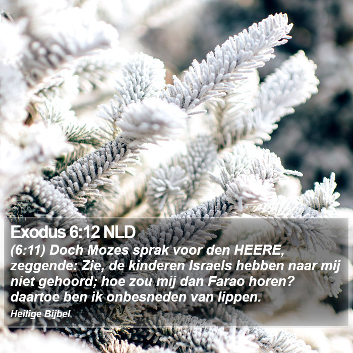 Exodus 6:12 NLD Bible Study