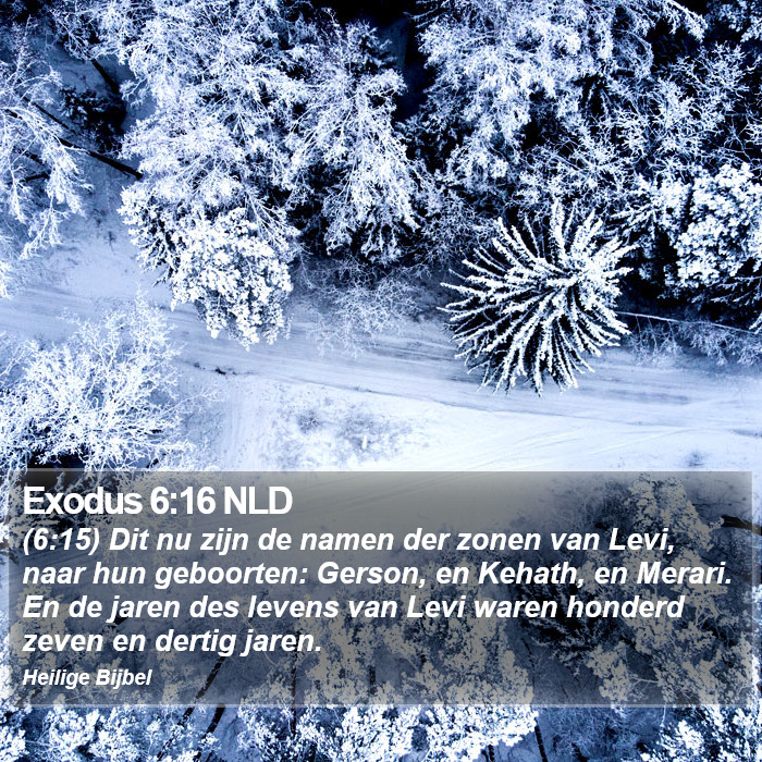 Exodus 6:16 NLD Bible Study