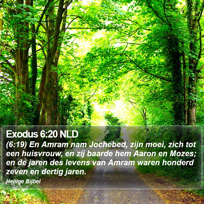 Exodus 6:20 NLD Bible Study