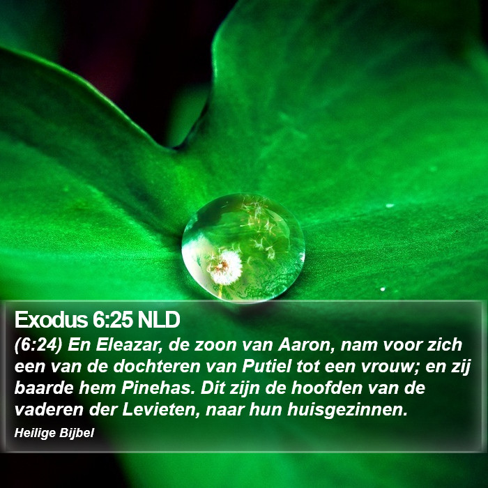 Exodus 6:25 NLD Bible Study