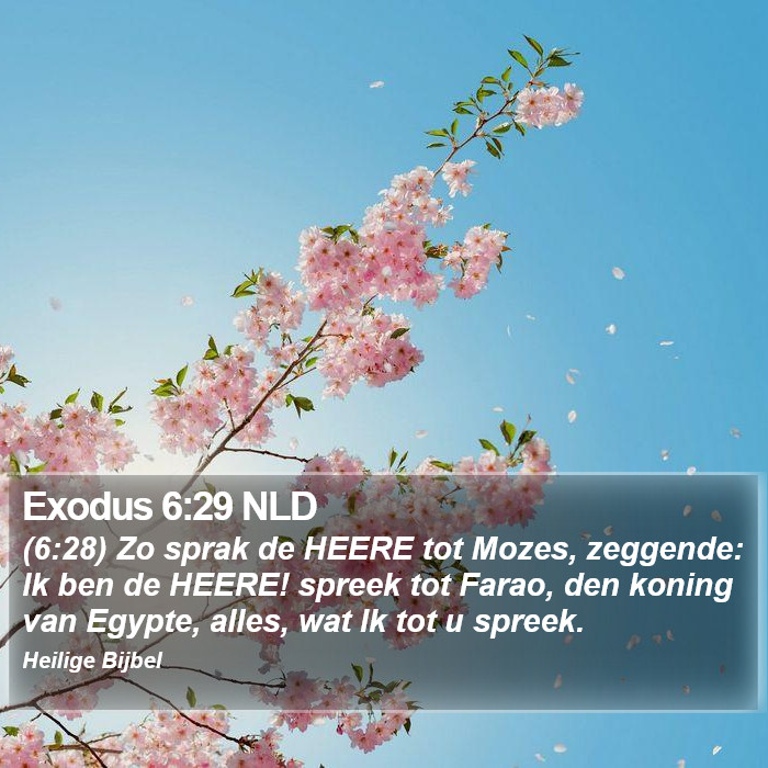 Exodus 6:29 NLD Bible Study