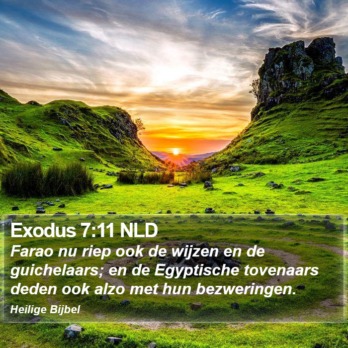 Exodus 7:11 NLD Bible Study