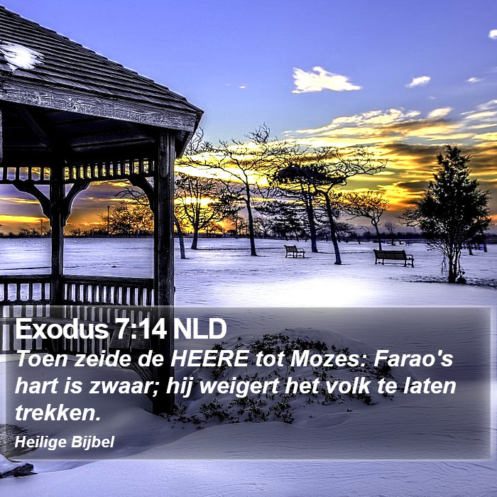 Exodus 7:14 NLD Bible Study
