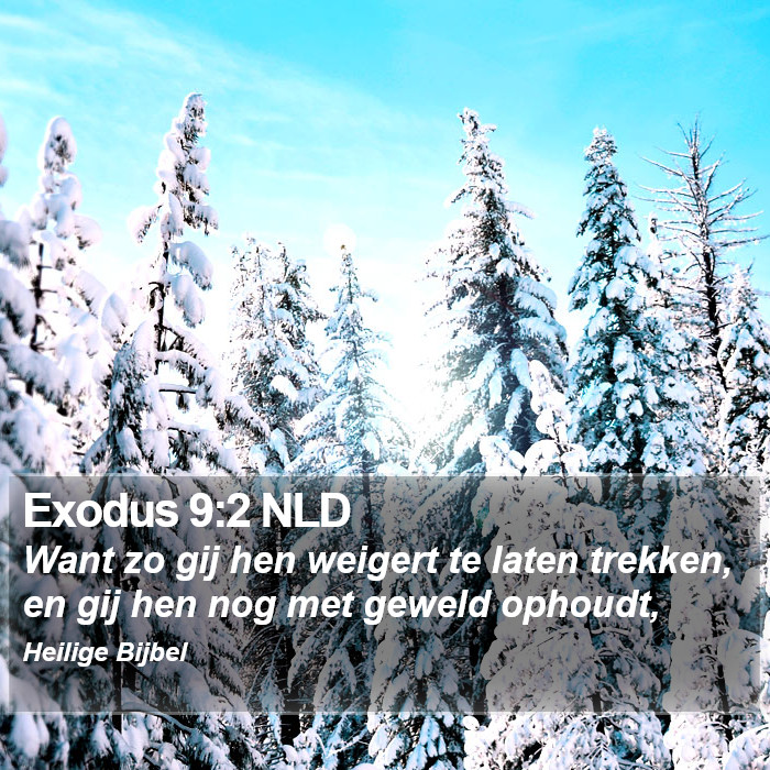 Exodus 9:2 NLD Bible Study