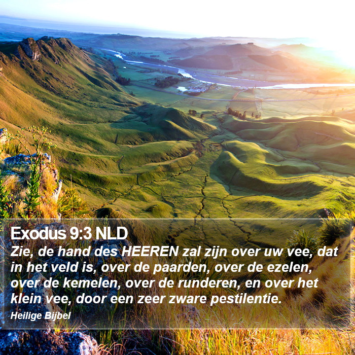 Exodus 9:3 NLD Bible Study