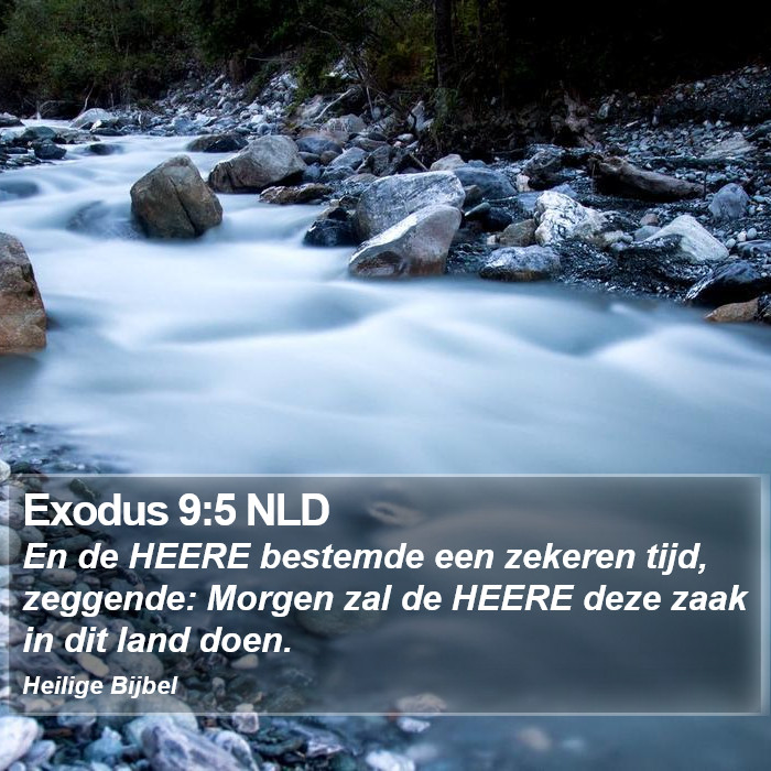 Exodus 9:5 NLD Bible Study