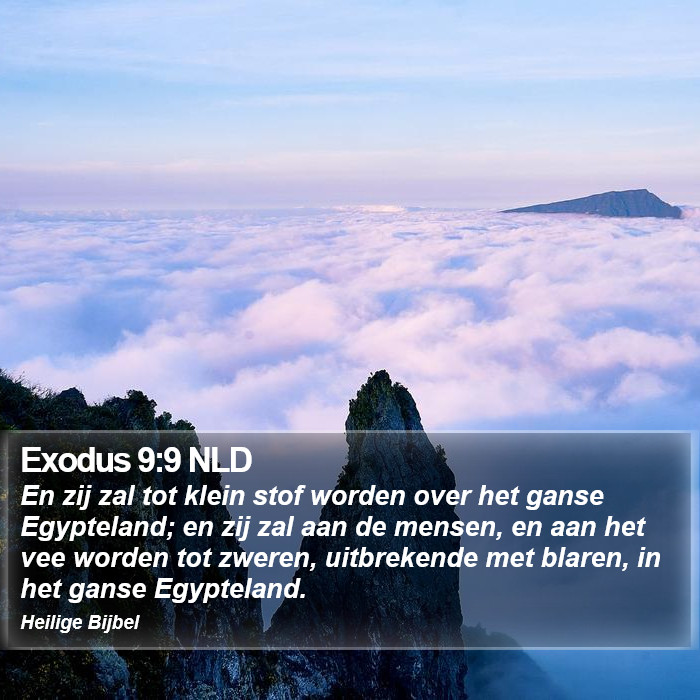 Exodus 9:9 NLD Bible Study