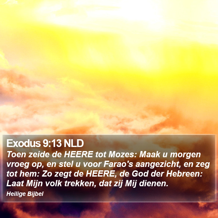 Exodus 9:13 NLD Bible Study