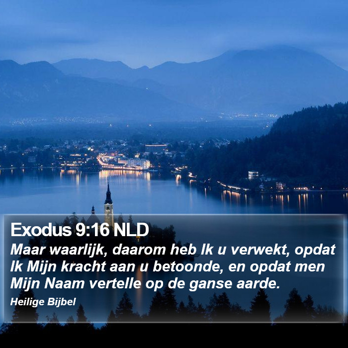 Exodus 9:16 NLD Bible Study