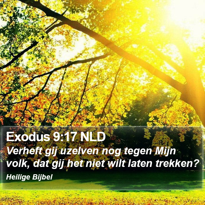 Exodus 9:17 NLD Bible Study