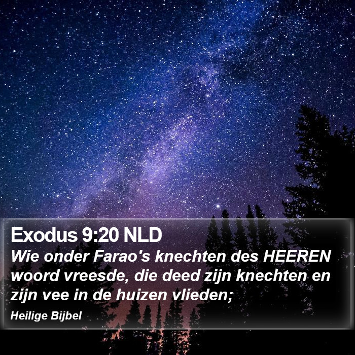 Exodus 9:20 NLD Bible Study