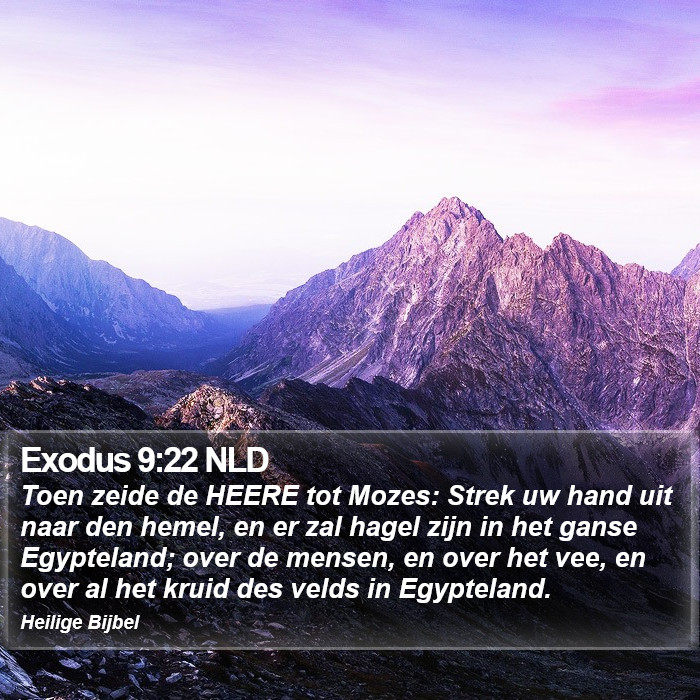 Exodus 9:22 NLD Bible Study